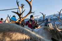 Press photos