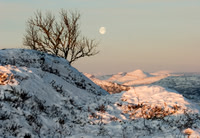 Månelandskap